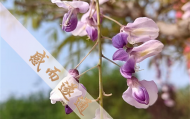 北京算命比较灵验的寺庙,北京能烧香算命的寺庙
