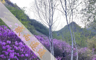 北京哪里有烧香算卦的,北京密云哪儿算命准