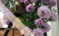 北京哪里有算命大仙看事的,北京哪个道观能抽签算命