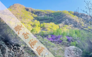 北京哪里有看相算卦的地方,北京算命出名的
