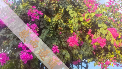 北京大觉寺有算命的吗,北京算命先生在哪里看