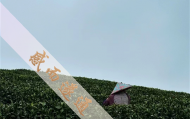 北京算命大仙在哪里求,北京那个算命大师准