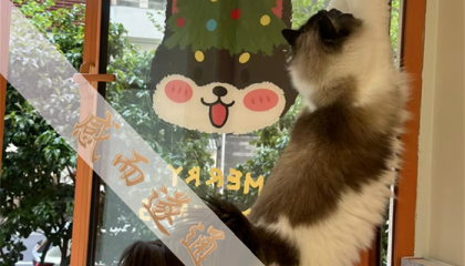 北京算命最厉害的大师 十棵松，北京算命风水大师在哪里