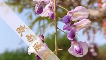 北京算命先生哪里最有名气，北京算命好的寺庙在哪