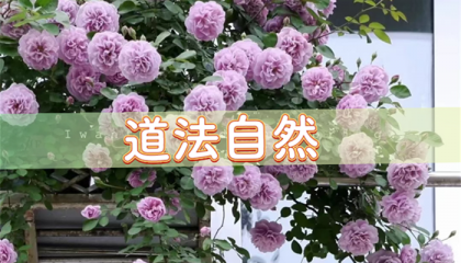 北京算卦，赵三静在北京算命