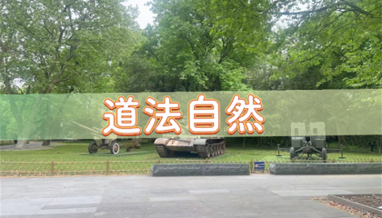 北京算命一条街地点，北京颐和园有算命的吗