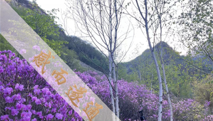 北京道士算卦哪里有准的，北京算命特准的