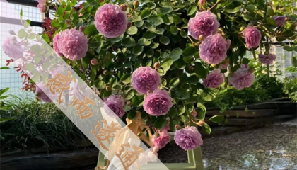 北京算命先生在哪里找到的，北京哪里有算命的大仙