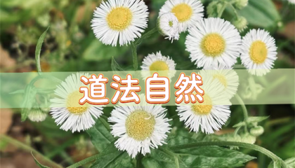 北京算命先生在哪里能找到，北京算命的大师有哪些