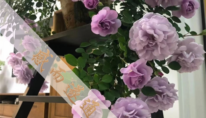 北京算命先生哪里最有名的，北京三里屯遇见算命