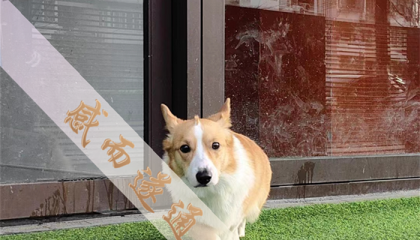 北京算命最厉害的大师是谁，北京算命博主有哪些名人