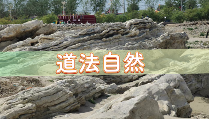 北京哪里有算命灵验的道士，北京白纸坊附近算命