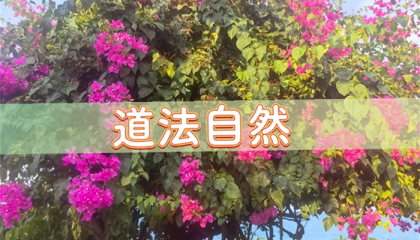 北京哪里有算命的人家啊，北京云岗有算命的吗吗