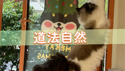 北京易路大诚算命预测馆，北京哪有算命算的好的