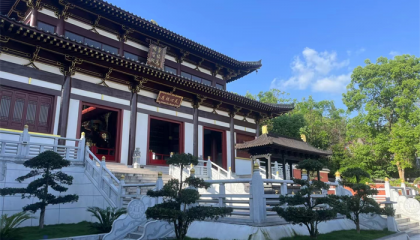 白春茹官网,易经大师白春茹简介及联系方式