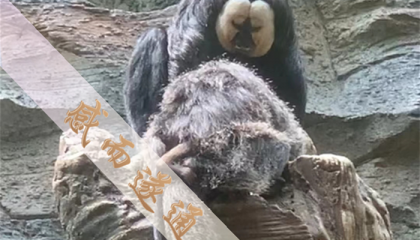 北京通州哪里可以算卦，北京易品楼算命