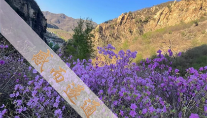 北京道教白云观算卦，北京哪有算命的地