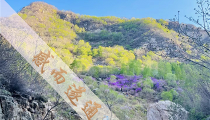 北京道士算卦，北京白云观周边算卦的地方