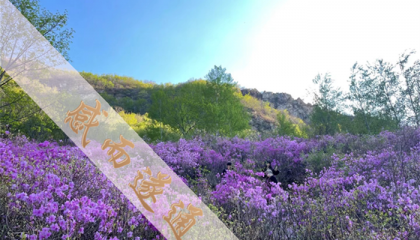 北京道士算命大师排名前十，北京通州有算命先生吗