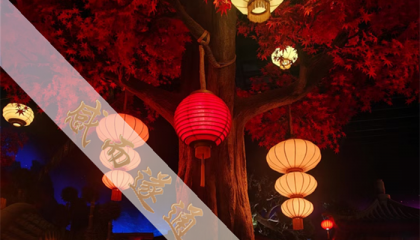 北京通县算卦，北京法源寺算命