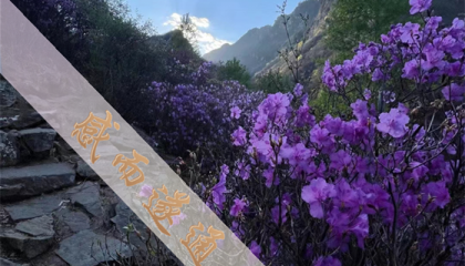 北京道士算卦哪里有，北京哪有算命准确的