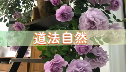 北京算卦高人，北京那里可以算命