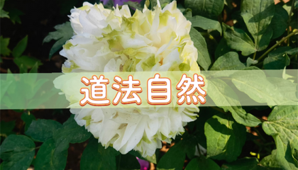 北京哪里有算命的人家，北京丰台区算命先生庄园