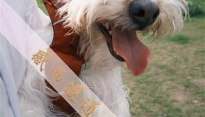 北京通州区算卦，北京六爻算卦大师排名