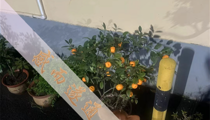 北京算命最灵的山是哪座山，北京哪边算命比较好