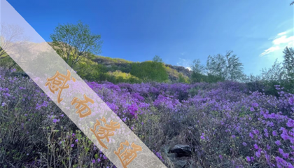 北京道士算命大师排名表，北京哪里算命最出名的地方