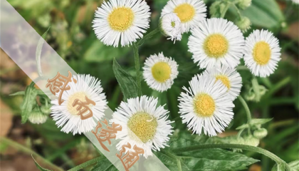 北京通州那有算卦的地方，北京哪有大师可以算卦