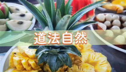 北京算命一条街雍和宫，北京哪有算命特别准的寺庙