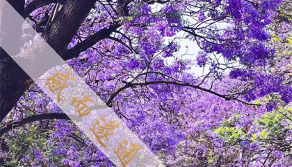 北京市顺义区哪里有算卦，求北京算卦大师名字