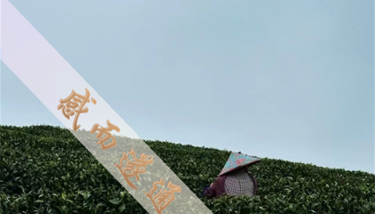 北京算命最好的地方，北京有算命准的大师？